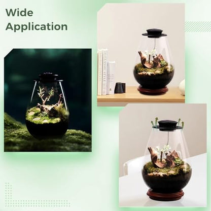 Mini Desktop Glass Plant Terrarium with Grow Light - Planter for Succulent Moss Miniature Gardening Landscape, Small Fish Tank, Indoor Plant Growth, Office Home Decoration, Plant Lovers Gifts