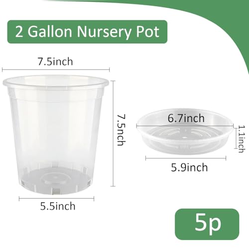 BTPLASTIK 2 Gallon Clear Nursery Pots with Saucers 5P, 7.5 Inch Round Plastic Plant Pots with Drainage Holes - size: 2 Gallon + Saucers 5P
