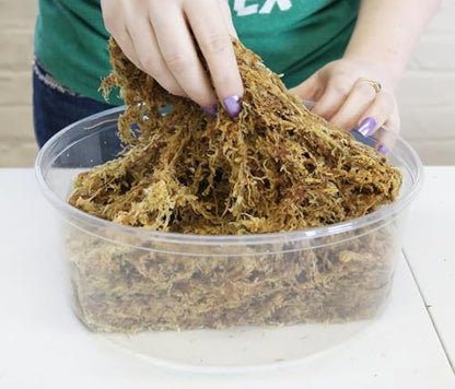 Premium New Zealand Sphagnum Moss, 100g (8L When Hydrated) - Harvested Sustainably from The Pristine West Coast of New Zealand's South Island - size: 100 Gram