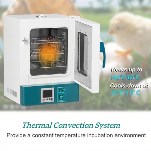 PioneerWorks Lab Incubator 20L RT 0-65℃ Incubator Scientific Digital Incubator PID Temperature Control, Microbiological Laboratory Incubator for Culture Seed Medical Science Germination