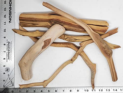 Josh's Frogs Manzanita Wood (Medium) - size: Medium
