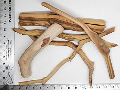 Josh's Frogs Manzanita Wood (Medium) - size: Medium