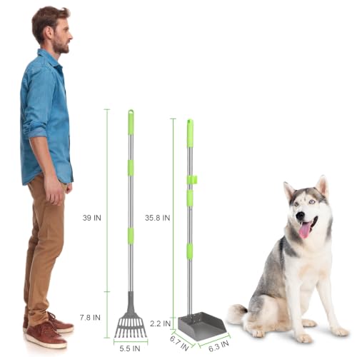 Non-Breakable Pooper Scooper, Dog Pooper Scooper Tray & Rake Set with Adjustable Stainless Steel Long Handle for Large Medium Small Dogs (Green) - color: Green