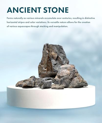 Natural Aquarium Stones - Angular Dark Brown & Rust-Toned Decorative Rocks w/Layered Texture - Freshwater Aquascaping, Betta Fish Tank, Reptile Enclosure, Hermit Crab - Ancient, 5 LB - color: Ancient, size: 5 Pounds