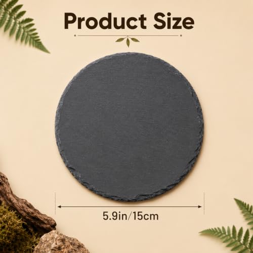 Reptile Basking Platform 5.9 X 5.9 Inch Slate Tortoise Rock Plat | Food Bowl Feeding Dish Tortoise Bathing Resting Terrace Habitat Decor for Turtle Lizard Bearded Dragon Crested Gecko Snake