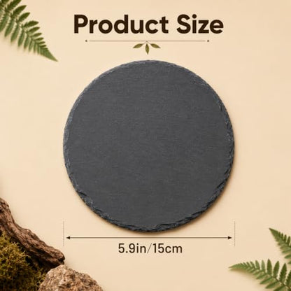 Reptile Basking Platform 5.9 X 5.9 Inch Slate Tortoise Rock Plat | Food Bowl Feeding Dish Tortoise Bathing Resting Terrace Habitat Decor for Turtle Lizard Bearded Dragon Crested Gecko Snake