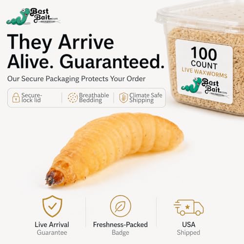 100 Count Premium Live Waxworms for Reptiles, Birds, Amphibians & Fishing Bait - High-Protein, Calcium-Rich Soft-Bodied Larvae - Ideal for Bearded Dragons, Geckos, Chickens & Trout