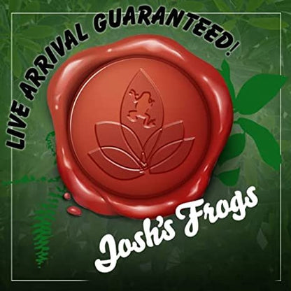Josh's Frogs Tarantula Vivarium Bioactive Plant Kit (8x8x8 Terrarium) - size: 8x8x8 Terrarium