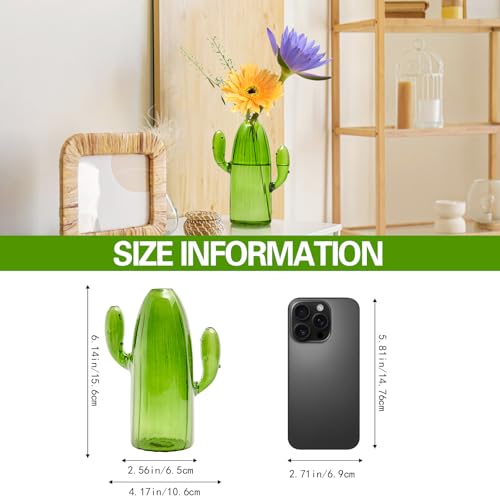XXXFLOWER Cactus Plant Propagation Station 1 Cactus Vase Terrarium Jars | Desk Plant Cuttings Plant Holders Unique Glass Flower Vase for Hydroponics Plants for Plant Lovers Home Garden Decor - size: 1PC Cactus Vase