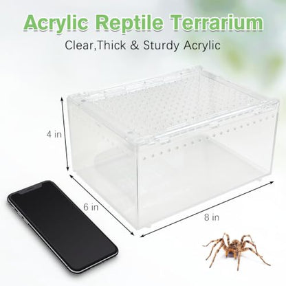 Reptile Terrarium Enclosure 8"x6"x4" Acrylic Tarantula Breeding Box Magnetic Hermit Crab Habitat Transparent Jumping Spider Cage for Insect Snail Amphibians Sling Isopods - size: S: Standard Version