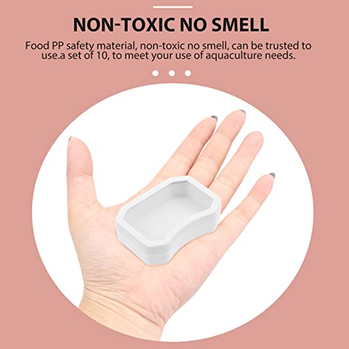 Crawling Toys Reptile Food Bowl Worm Dish: 10PCS Mini Plastic Reptile Water Feeder Bowl for Lizard Turtle Bearded Dragon Anoles Crested Gecko Hermit Black Accessories