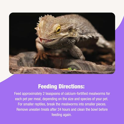 Fluker’s Grub Bag All Natural Calcium Fortified Mealworm Treats, Packed with Protein, Rich in Nutrients, A Reptile Favorite, 3 oz