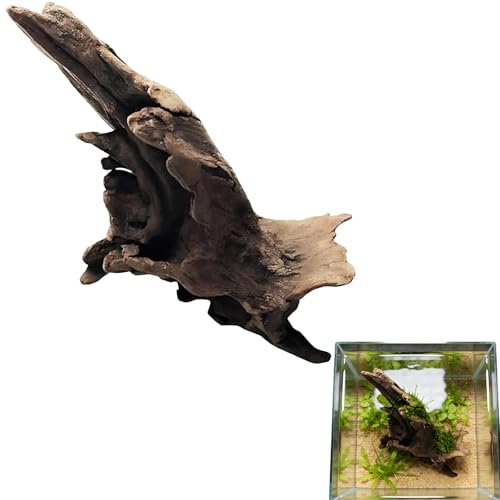Natural Driftwood Tree Decoration for Aquarium, Fish Tank Plant Stump Ornament, Random Style(5-10cm)