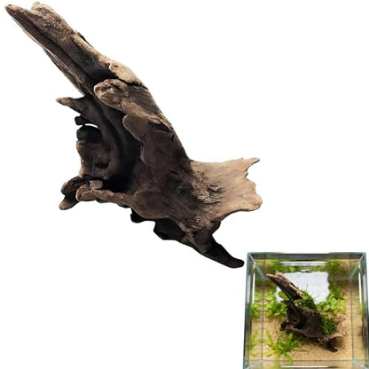 Natural Driftwood Tree Decoration for Aquarium, Fish Tank Plant Stump Ornament, Random Style(5-10cm)