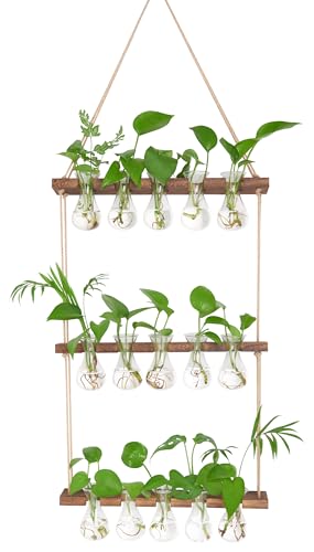 XXXFLOWER Wall Hanging Propagation Station 5 Bulb Vase 3 Tiers Brown | Hanging Plant Holder Wall Hanging Planters for Indoor Plants, Wall Decor for Living Room Office - size: Brown-15 Bulb Vase