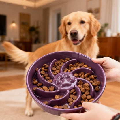 Ceramic Slow Feeder Dog Bowl, 3 Cup Dog Food or 25oz Water, Slow Eating Bowl for Middle Breed, Maze Puzzle Feeder for Fast Eaters, Anti-Choking Stop Bloat, Non-Slip BPA Free (Purple) - color: Purple