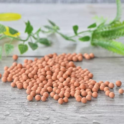 3.0 LB Clay Pebbles, Gardening Ceramsites Growing Media for Succulents Orchids, Aquaponics, Aquaculture Hydroponics. Ceramsite Clay Rocks Decor Cultivation, Leca for Plants (Clay Pebbles) - size: 3.0 LB