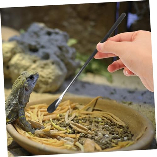 Toddmomy 3pcs Reptile Food Spoon Lizard Feeding Spoon for Wet Food Reptile Dish Tool Pet Supply