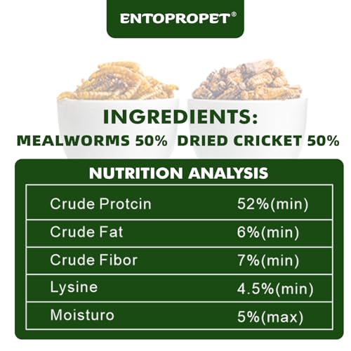 Dried Mealworms & Crickets Medley Treat for Bearded Dragons 3oz | High calcium,rich protein,for turtles,tropical fish,birds,freeze dried crickets,premium quality,additive free - size: 3 Ounce (Pack of 1)