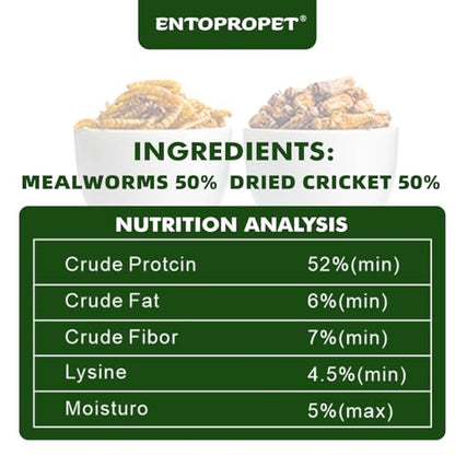 Dried Mealworms & Crickets Medley Treat for Bearded Dragons 3oz | High calcium,rich protein,for turtles,tropical fish,birds,freeze dried crickets,premium quality,additive free - size: 3 Ounce (Pack of 1)