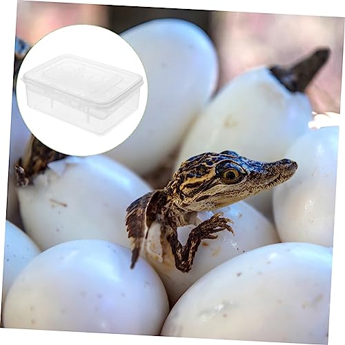 Angoily Plastic Reptile Egg Incubator with Transparent Hatchery Box for Hatching Gecko and Lizard Eggs for Snakes and Turtles Professional Incubation