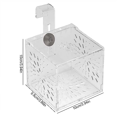 Fish Isolation Breeder Box, Clear Acrylic Breeding Incubator with Divider and Dual Mounting for Aquarium Fish Tank Transparent 3.94 x 3.86 x 3.94 in 1 Pack