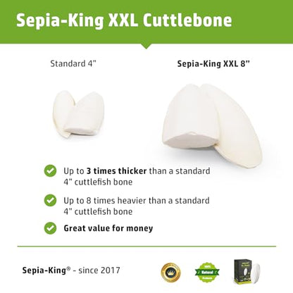 Sepia King - Extra Large - 100% Natural Calcium Supplement - Premium Cuttlebone Perfect for Birds, Tortoises, Snails, Reptiles - Pack of 3