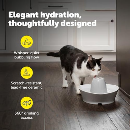 PetSafe Creekside Ceramic Pet Fountain, 60 Oz, 4-Pack Carbon Filters | 60 Oz Capacity, Whisper-Quiet Flow, Includes Carbon Filters, Top-Rack Dishwasher Safe - style: Fountain + 4 Carbon Filters