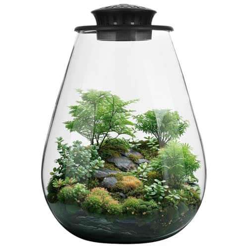 Mini Desktop Glass Plant Terrarium with Grow Light - Planter for Succulent Moss Miniature Gardening Landscape, Small Fish Tank, Indoor Plant Growth, Office Home Decoration, Plant Lovers Gifts