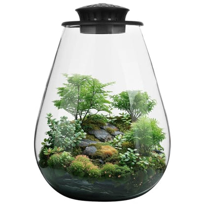 Mini Desktop Glass Plant Terrarium with Grow Light - Planter for Succulent Moss Miniature Gardening Landscape, Small Fish Tank, Indoor Plant Growth, Office Home Decoration, Plant Lovers Gifts