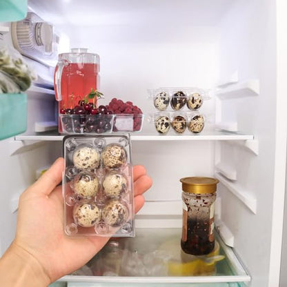 300 Pack Quail Egg Cartons, Clear Plastic Quail Egg Trays, Holds up to 6 Quail Eggs Securely - Your Ultimate Small Eggs Carton Holders for Bulk Storage and Display - size: 300 Pack Quail Egg Cartons 6 Grids