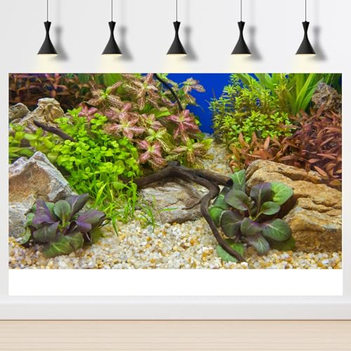 Aquarium Background Various Underwater Grass Plants Pebble Aquarium Backdrop Vivid and Fresh Green Aquatic Plants Stone River Bed and Dead Wood Purple Leaves Tank Background Vinyl 24x12in - color: Rock Brown, size: 24(W)x12(H)inches/ 60(W)*30cm(H)
