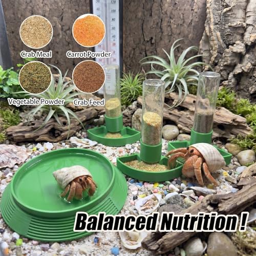 4-in-1 Hermit Crab Feeding Station - Integrated Nutrition and Hydration Center，3D-Printed Tank Accessories Made from Safe Materials, Suitable for Hermit Crabs and Small Reptiles. - color: Green