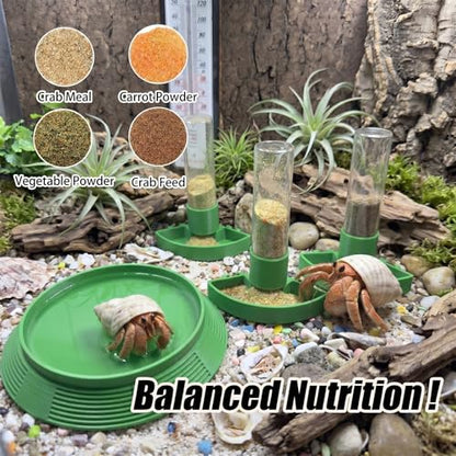 4-in-1 Hermit Crab Feeding Station - Integrated Nutrition and Hydration Center，3D-Printed Tank Accessories Made from Safe Materials, Suitable for Hermit Crabs and Small Reptiles. - color: Green