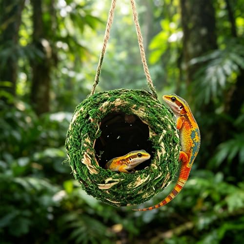 Handmade Natural Moss Hide for Reptiles & Amphibians, 12cm Square Humidity-Retaining Shelter with Non-Marking Suction Hooks, Ideal for Crested Geckos, Hermit Crabs(Green)