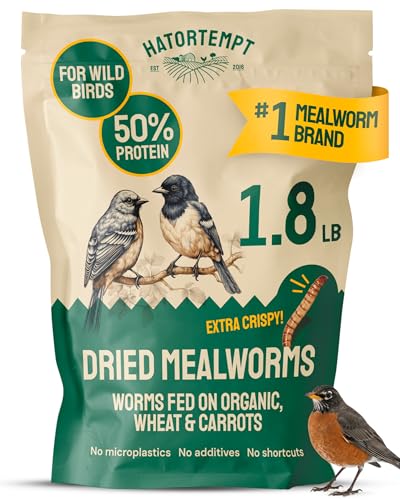 Hatortempt 1.8lb Dried Mealworms for Chickens, High Protein Bird Feed | High-Protein Blue Bird Food - Organic Diet Meal Worms - Hand Inspected Treats for Blue Birds, Robin, Ducks - 2 Yr Shelf Life - size: 1.8 Pound (Pack of 1)