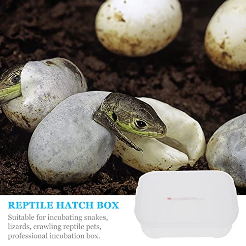 balacoo 12 Eggs Incubator Tray Snake Gecko Lizard Box Reptile Hatchery Breeding Incubator