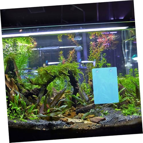Blue Fish Breeding Plate Suction Cup Aquarium Spawning and Isolation Divider for Fish Tanks Sturdy Reptile Platform for Hatching and Transport