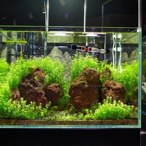 Fish Tank Aquarium Heater - Adjustable Temperature Submersible Thermostat Heater,25W/50W/100W/150W/200W/300W - size: 100W
