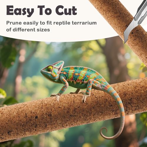 PINVNBY Cork Branches for Reptiles,2 Pcs Natural Wood Bearded Dragon Stick Snake Climbing Branch Habitat Log Decor for Tree Frog Lizard Gecko Spider Chameleon - size: M:11.81”Lx1.65”Wx1.65”H