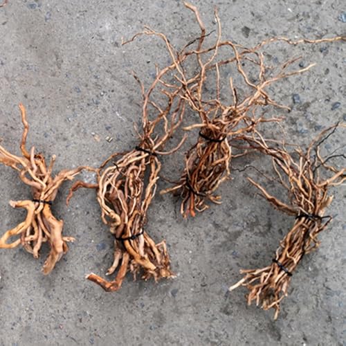 Natural Driftwood Root Trunk Tree Aquarium Decor, 10-30 CM | Randomly Bundled, Fish Tanks, Terrariums, Aquascaping & Planted Tanks
