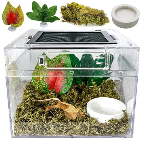 Reptile Terrarium, Jumping Spider Enclosure Starter Kit, Leopard Gecko Habitat Container, 8"x8"x6"Reptile Tank for Tarantula, Hermit Crab, Insect, Fish, Frog, Small Bearded Dragon, Lizard - size: 8"x8"x6"