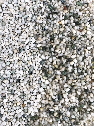 Aqua Natural Iwagumi Pebble Substrate, Silver, 7.7lb | Ultra Premium, For Aquascaping, For Aquariums, For Vivariums and Terrariums