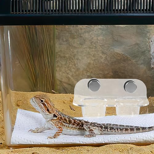 Kisangel Magnetic Reptile Feeding Cup Ledge Gecko Feeder Ledge with 20 Cups Acrylic Food and Water Dish for Small Lizards Terrarium Feeding Rack 4.72 X 2.55 X 2.16 in