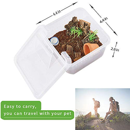 Critter Keeper，Mini Insect Carrier, Portable, Ventilated, Enough Viewing Space, with 5 Accessories, Suitable for Spiders, Geckos, Cockroaches, Snails, Hermit Crabs（Flowerpot）