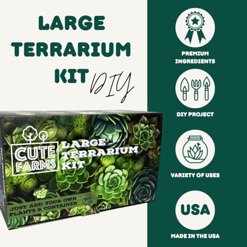 Terrarium Starter Kit | Moss, Vermiculite, Soil, Pebbles, Plant Food, Finishing Tools, Build and Care Guide | DIY Succulent Terrarium for Adults and Kids (Large) - size: Large Kit