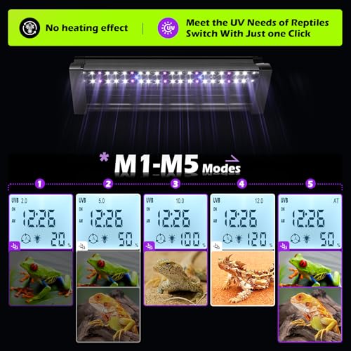 UVB Light for Reptiles 6W 9.8IN LED UVA UVB Terrarium Lamp with 4 Auto Modes for Ferguson Zones UVB Bulb with Timer for Bearded Dragon Gecko Turtle Lizard Snake Adjustable Brightness for Reptile Tank - size: 6W-9.8IN