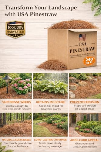 Long Needle Pine Straw Mulch - 240 Sqft Coverage 1 Set - Premium USA Harvested PineStraw for Landscaping, Weed Control, Moisture Retention & Erosion Control - USA Pinestraw - size: Long Needle - 240 Sqft - New Bigger Box 1 set