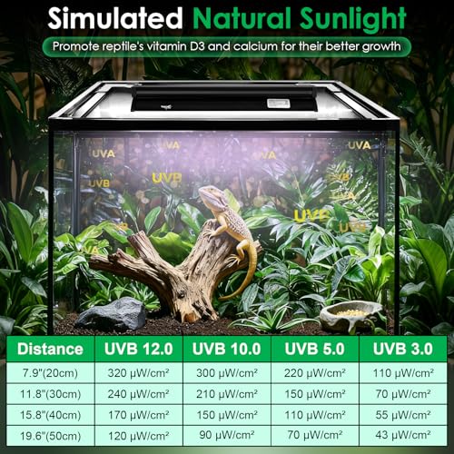 UVB Light for Reptiles, 10W HO LED UVB Reptile Light Fixture UVA UVB Lamp Bulb Terrarium Light with Timer and 5 Adjustable Brightness for Bearded Dragon Turtle Snake Crested Gecko Chameleon, 12 Inch - size: 12 Inch