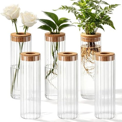 6 Set Propagation Station Jar Desktop Glass Planter Station Flower Vases Water Terrarium Jar with Cork Lid for Propagating Flower Plants Centerpiece Office Home Garden Decor(Large) - size: Large